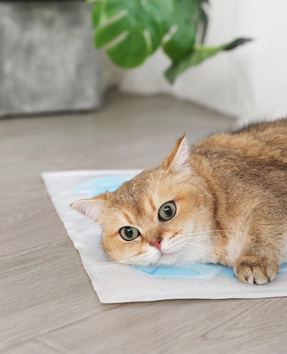 Premium Summer Cooling Pet Mat – Instant Relief for Dogs & Cats